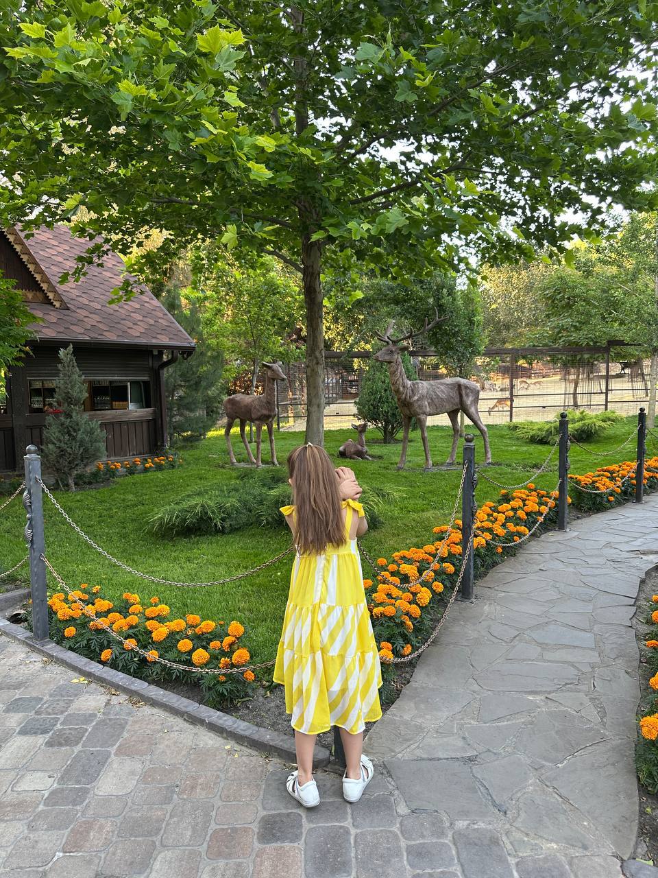 Парк птиц Малинки + Сказочный парк Лога
