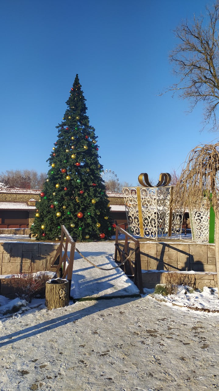 Новогодние каникулы в Парке «Лога»